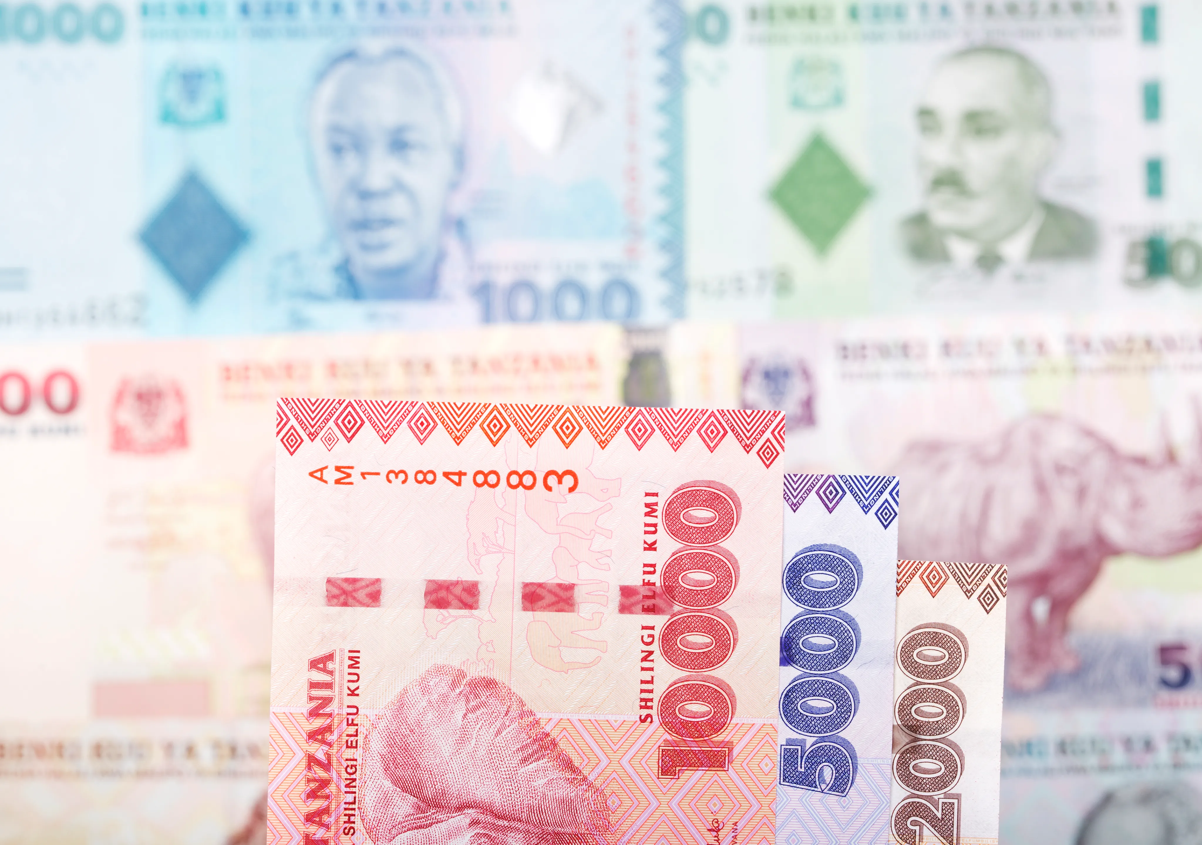  Tipping in Safari