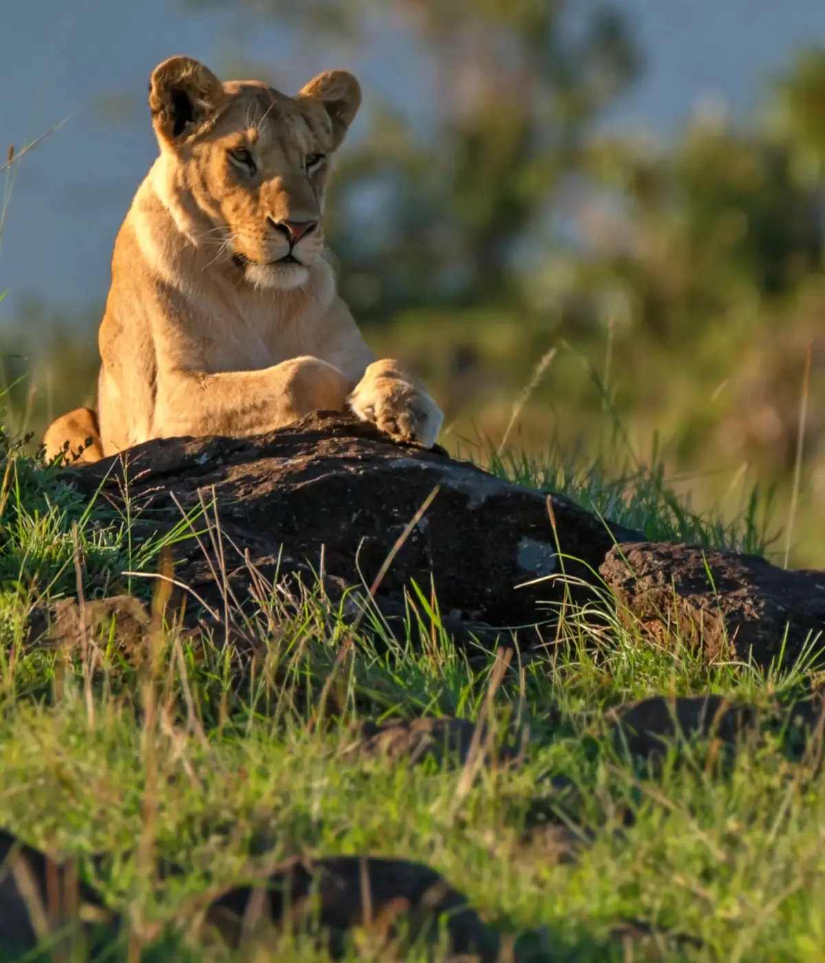 What to Do in Tanzania