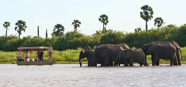 10  Days  Selous Safari & Mafia Island Holiday | Tanzania Wildlife & Beach