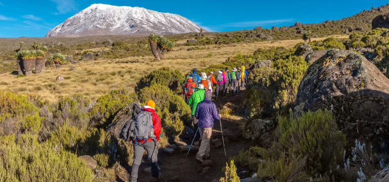 6 Days  Marangu Route Kilimanjaro Climb | Acclimatization Trek with Huts