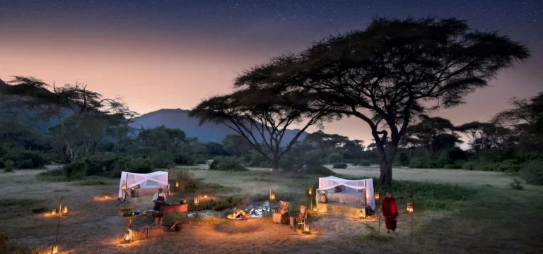 Last Minutes Safari Tanzania