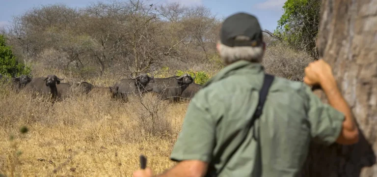 Tanzania Walking Safari