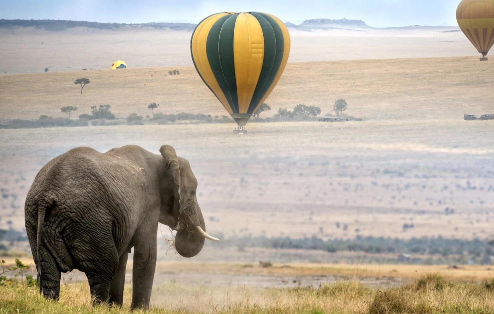 Hot Air Balloon Safari Attractions