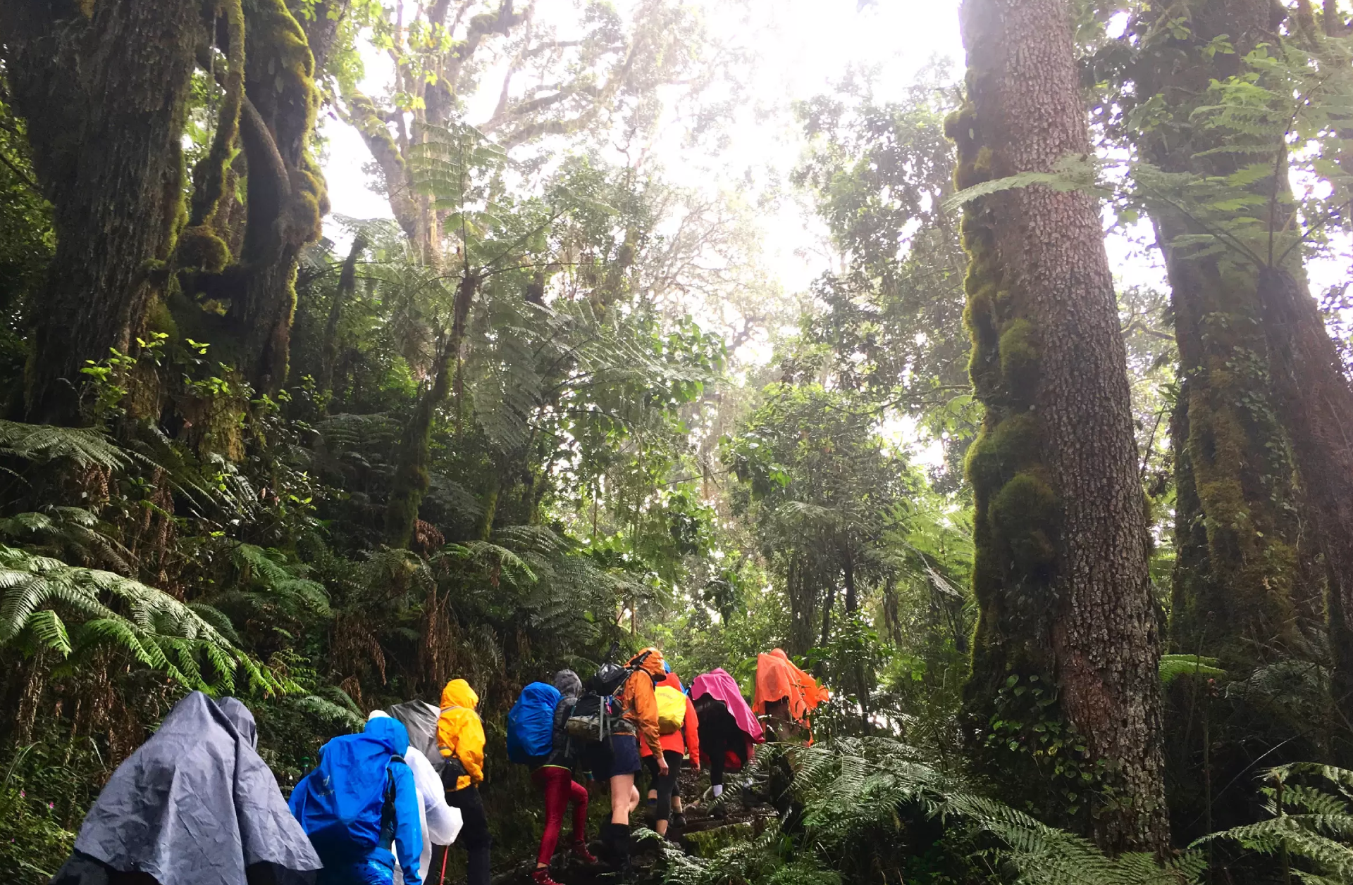 Kilimanjaro Tipping Guide