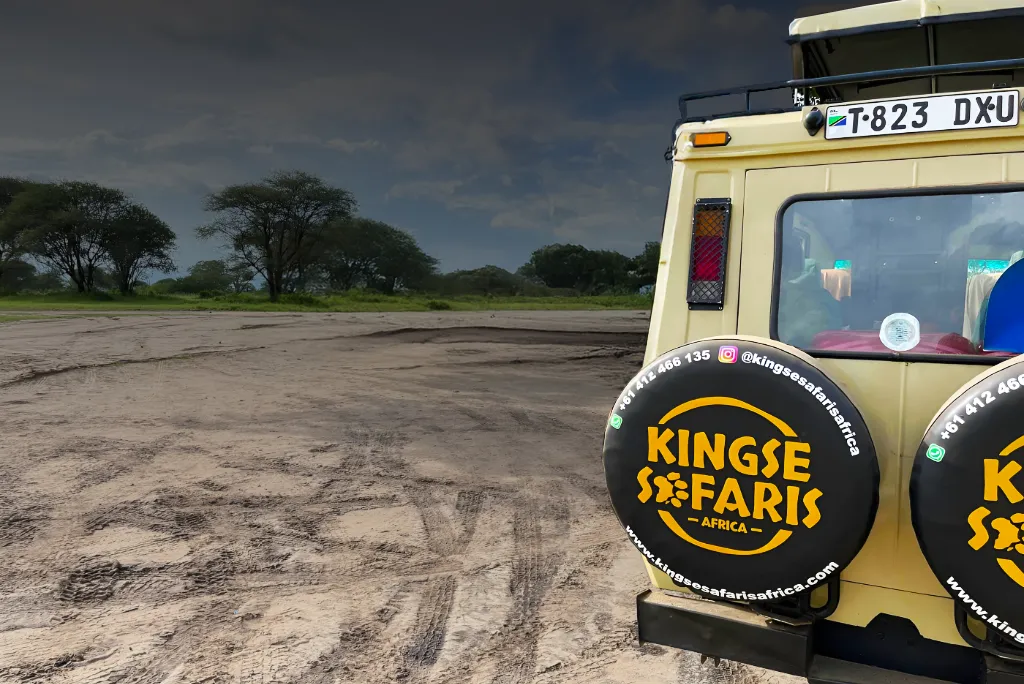 7 Days Tanzania Safaris