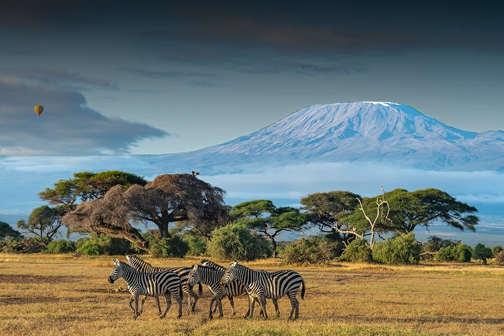 Amboseli National Park