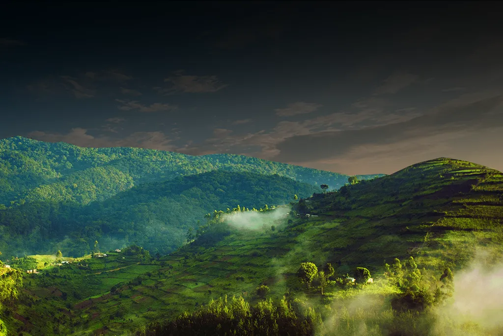 Bwindi National Park