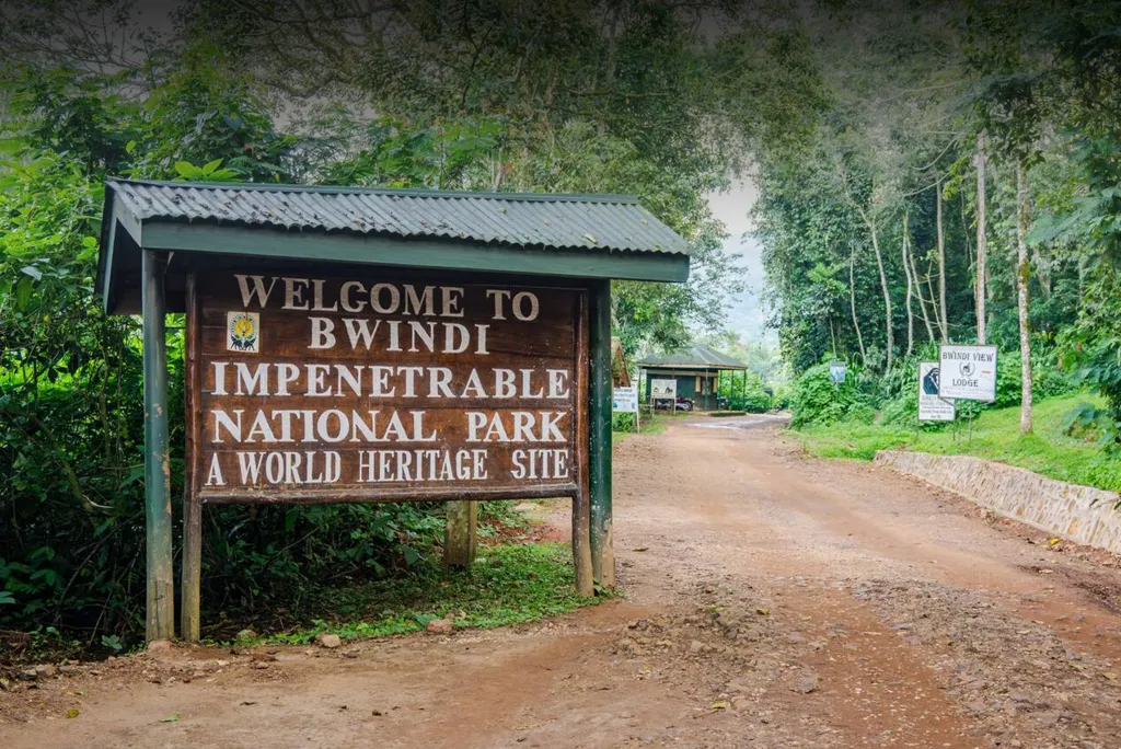 Bes Time To Visit Bwindi Impenetrable National Park