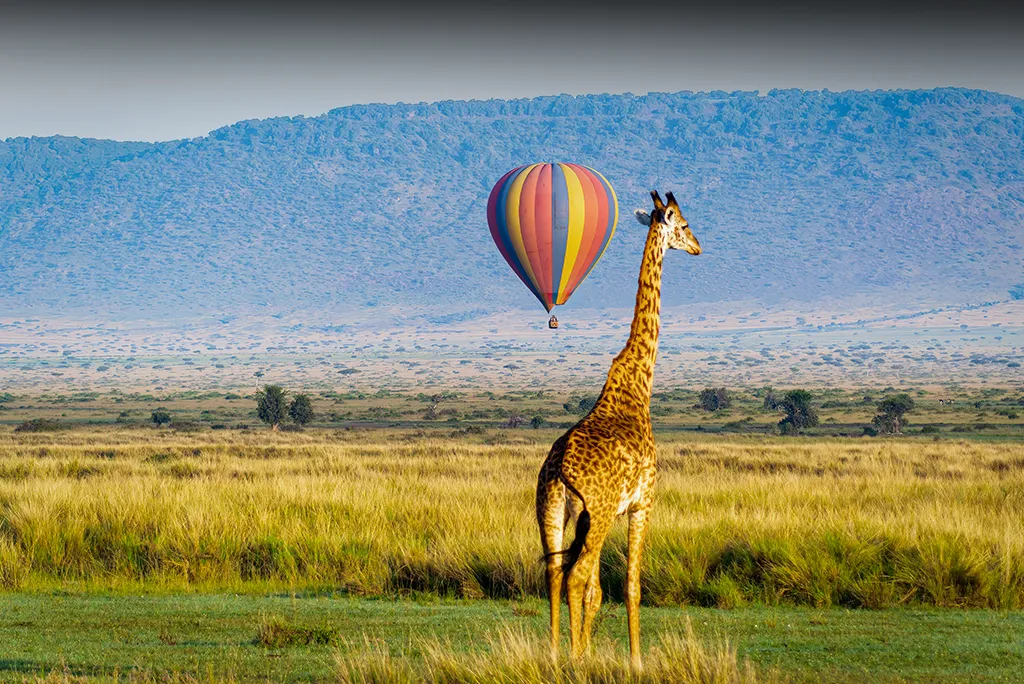 Masai Mara