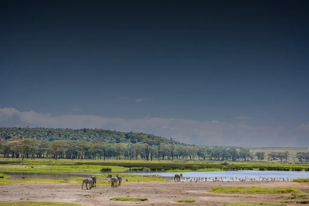 Why Visit Lake Nakuru