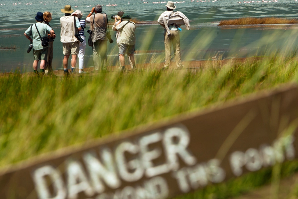 Bird Watching Safari