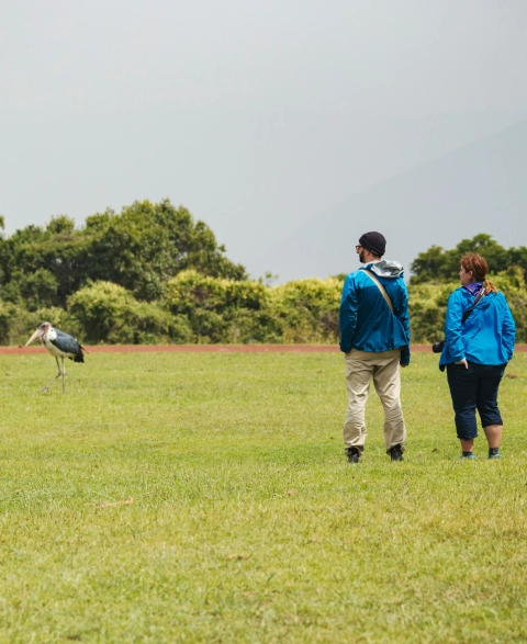Bird Watching Tanzania