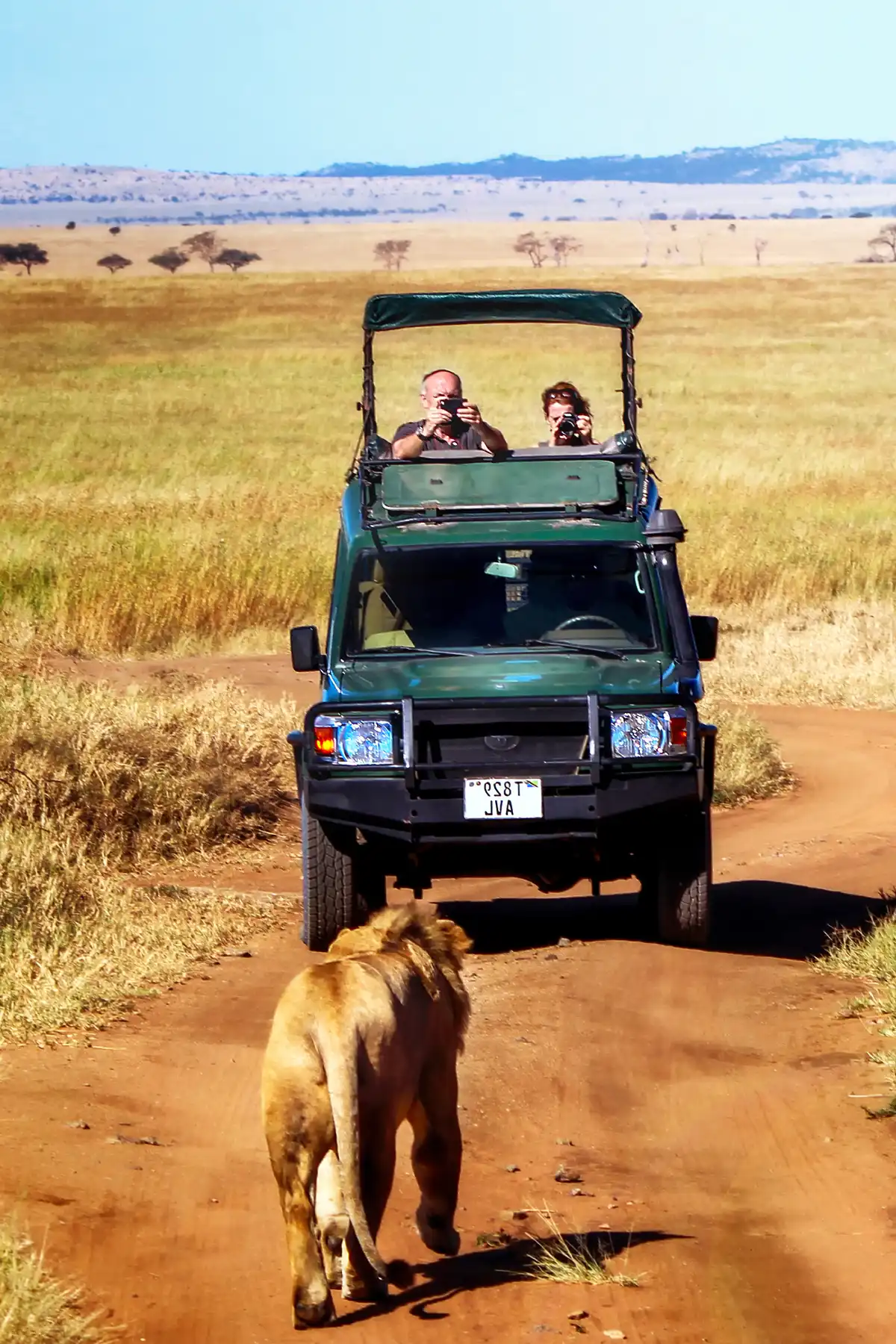 Tanzania Big Five Game Drive safari