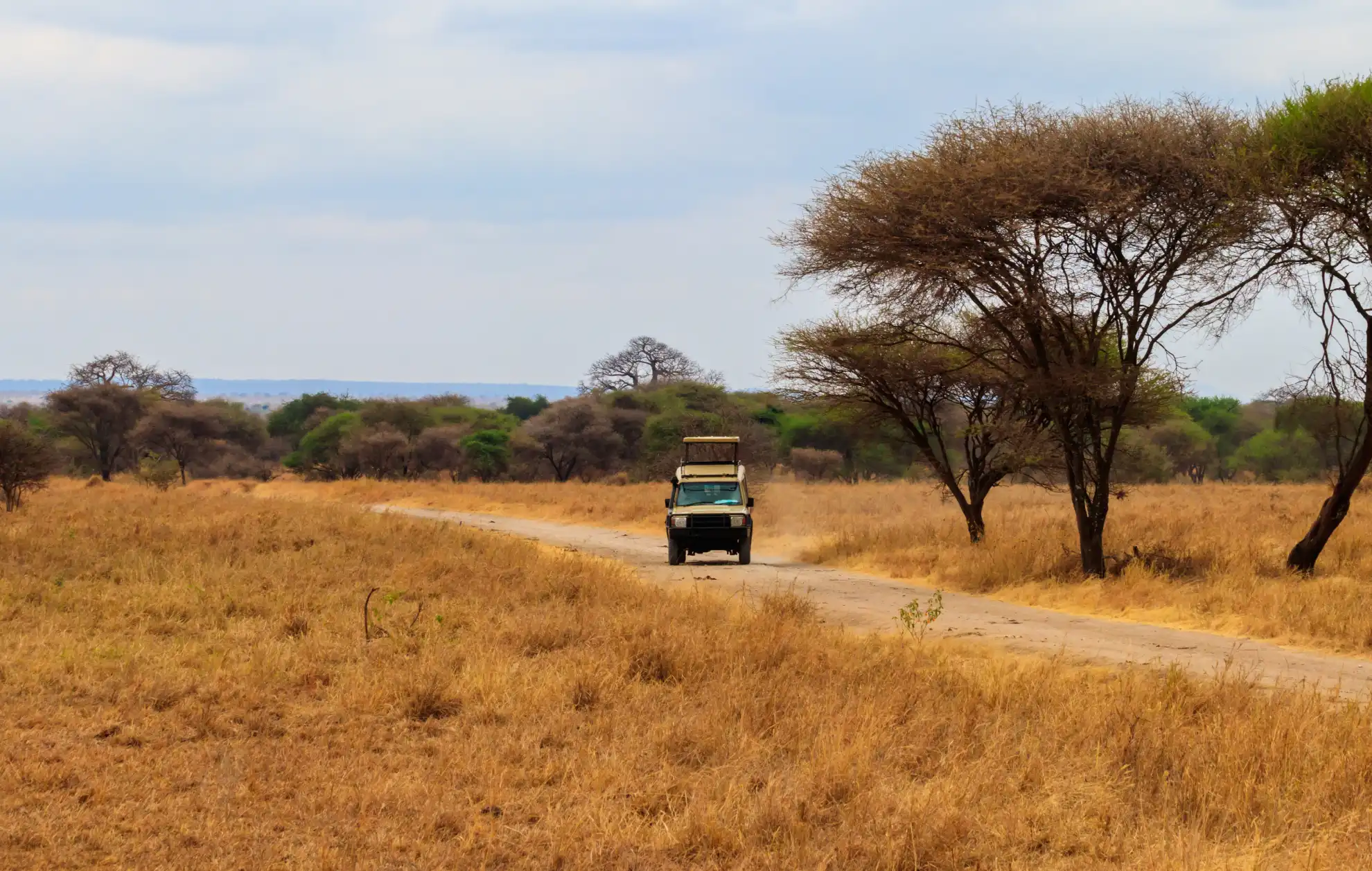 Tanzania Safari Packing List