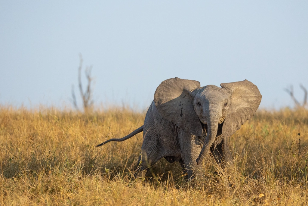 7-days-kenya-safari-10