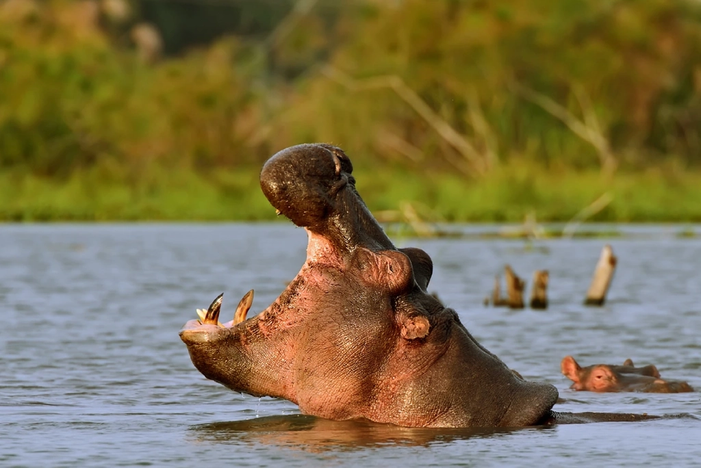 7-days-kenya-safari-14