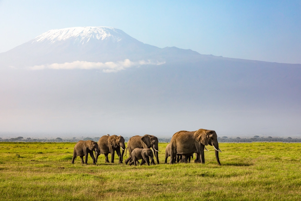 7-days-kenya-safari-20