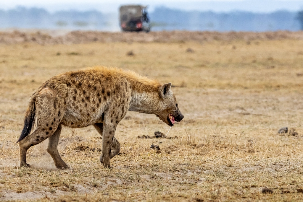 7-days-kenya-safari-8