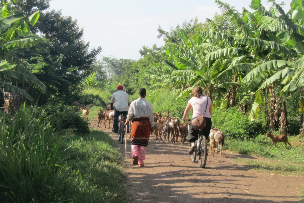 7-days-northern-serengeti-safari-19