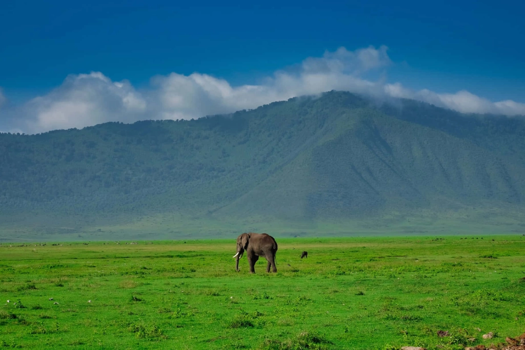 7-days-northern-serengeti-safari-21