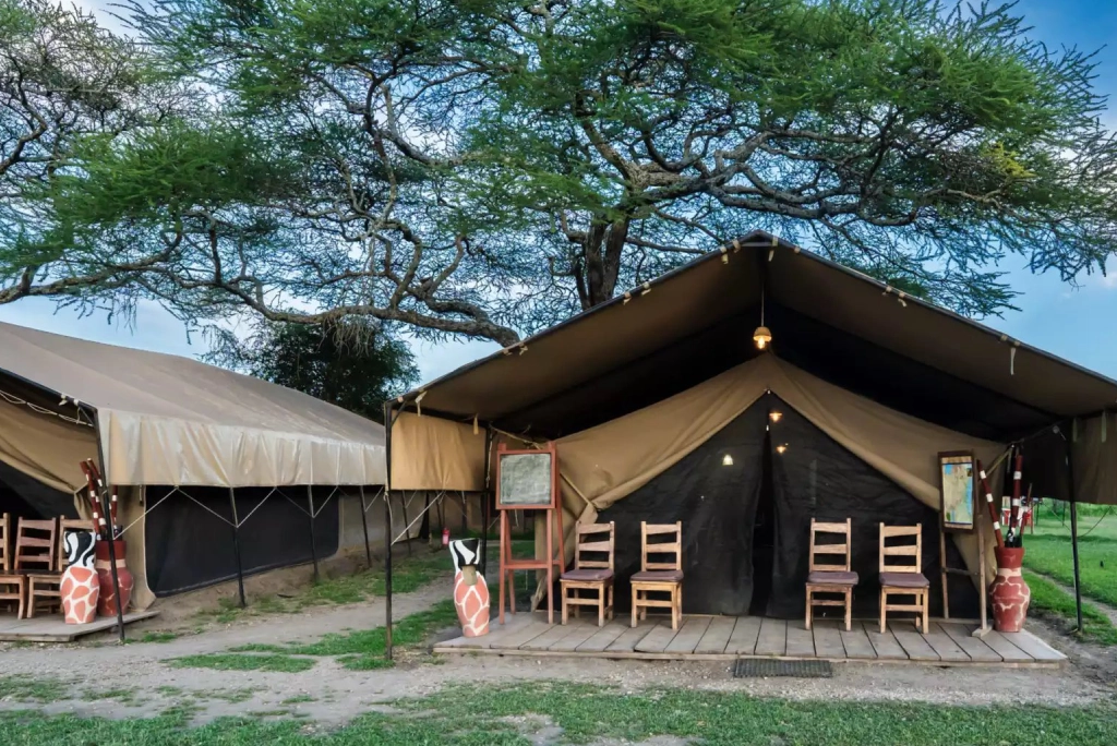 7-days-southern-serengeti-safari-17