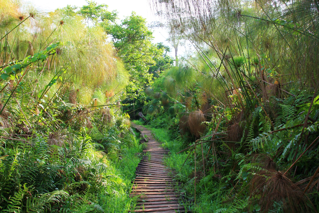 7-days-uganda-safari-17