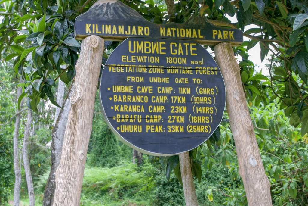 Umbwe Camp