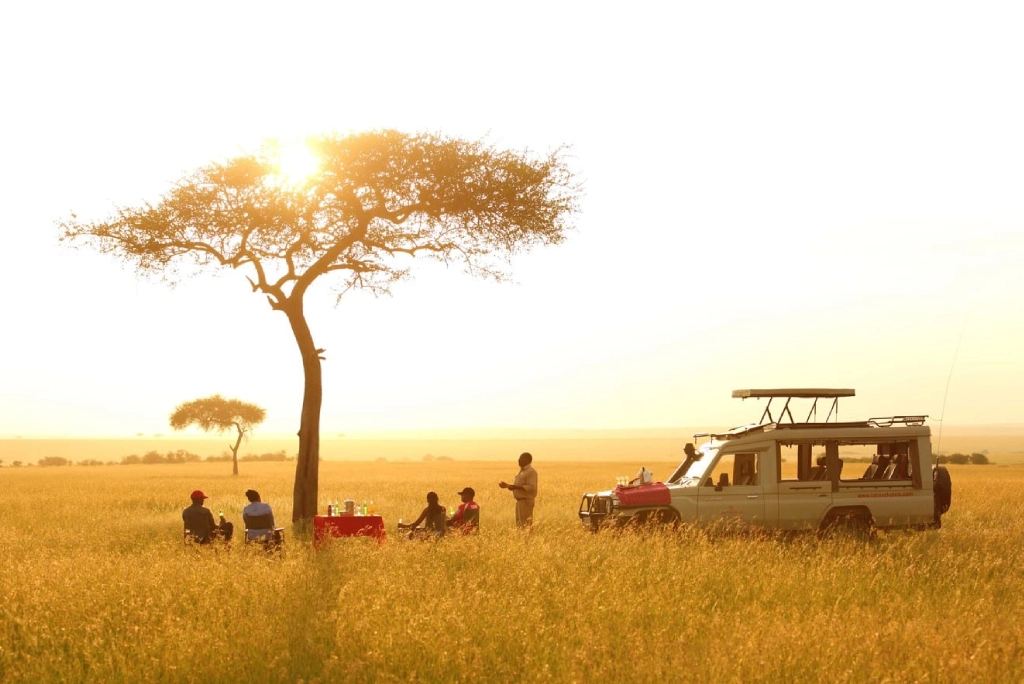 Masai Mara safari trips