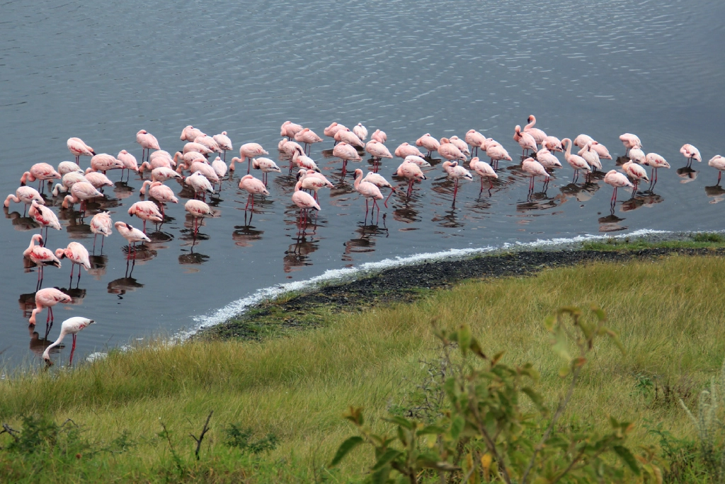 8-days-tanzania-safari-and-zanzibar-extension-12