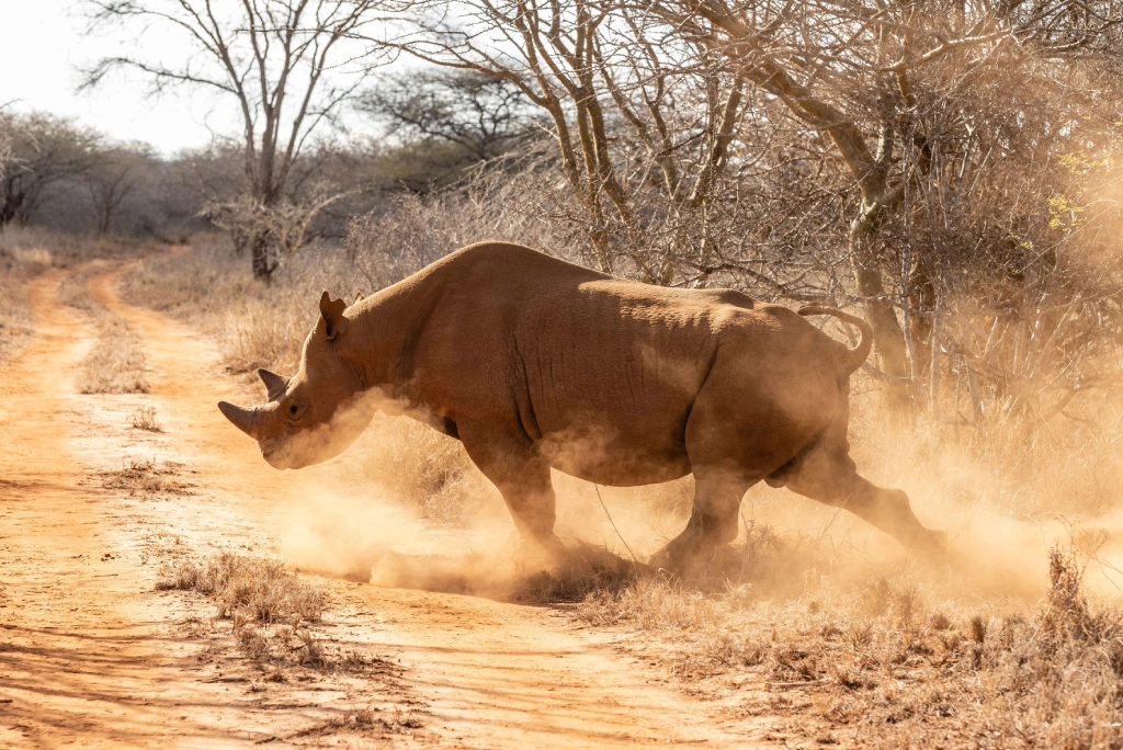 8-days-tanzania-safari-and-zanzibar-extension-22