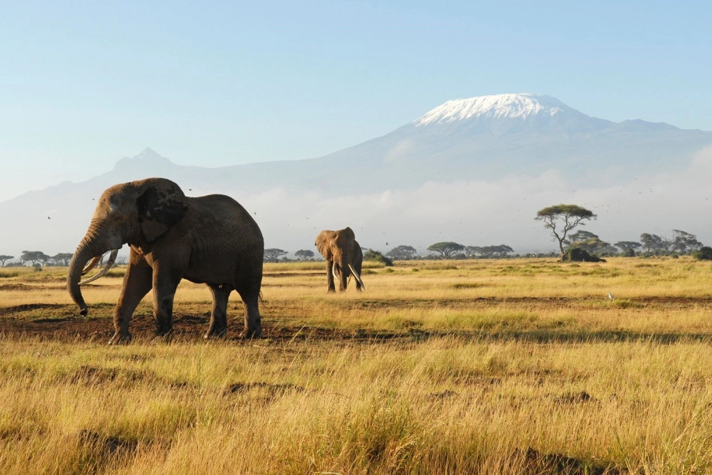 8-days-tanzania-safari-and-zanzibar-extension-4