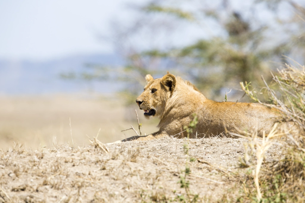 Kenya tourist attractions