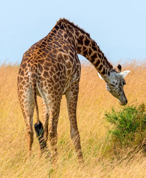 Best places to visit in Kenya