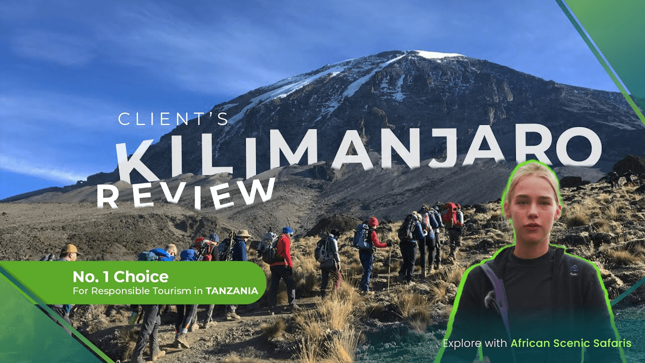 Kilimanjaro Reviews