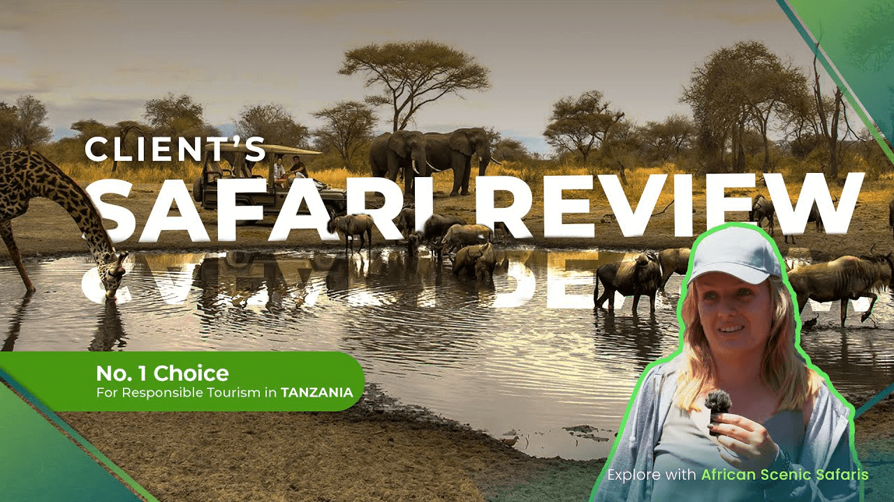 Tanzania Safari Review