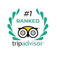 Tripadvisor