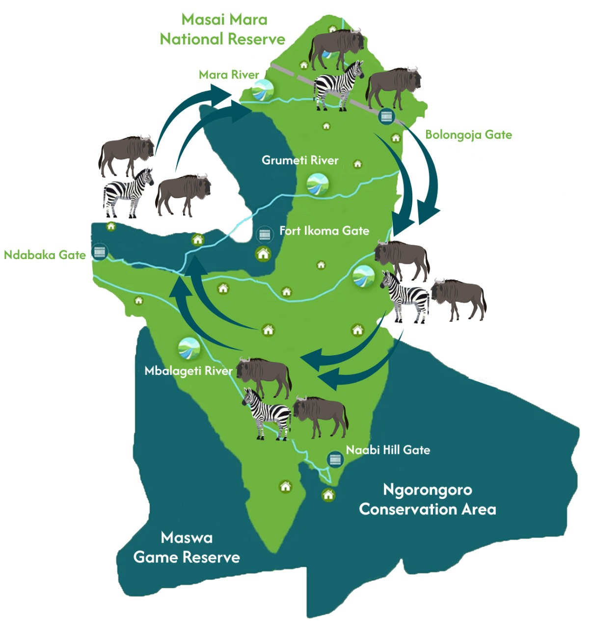 Best Time To See The Serengeti Migration