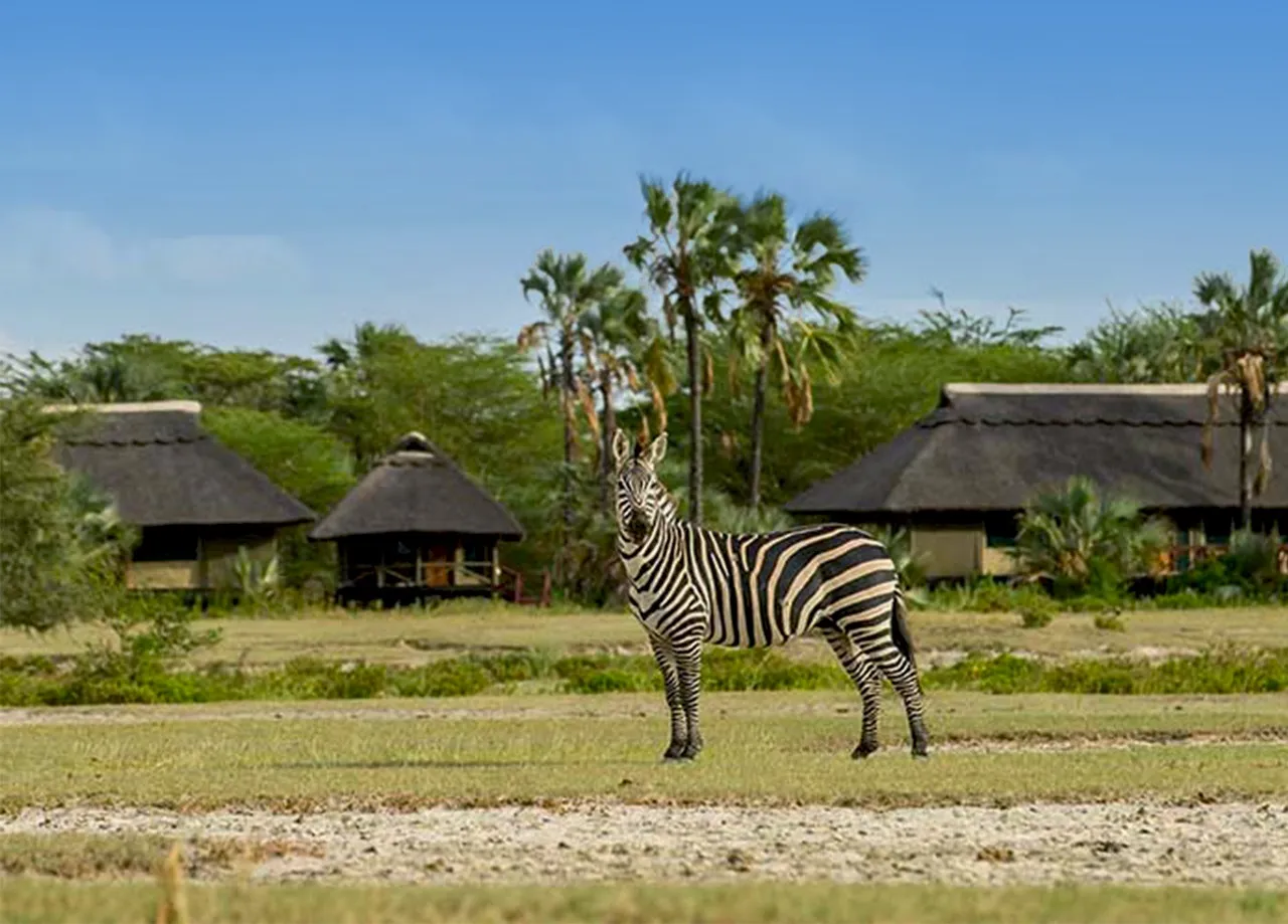 Tanzania Luxury Safari Accommodations