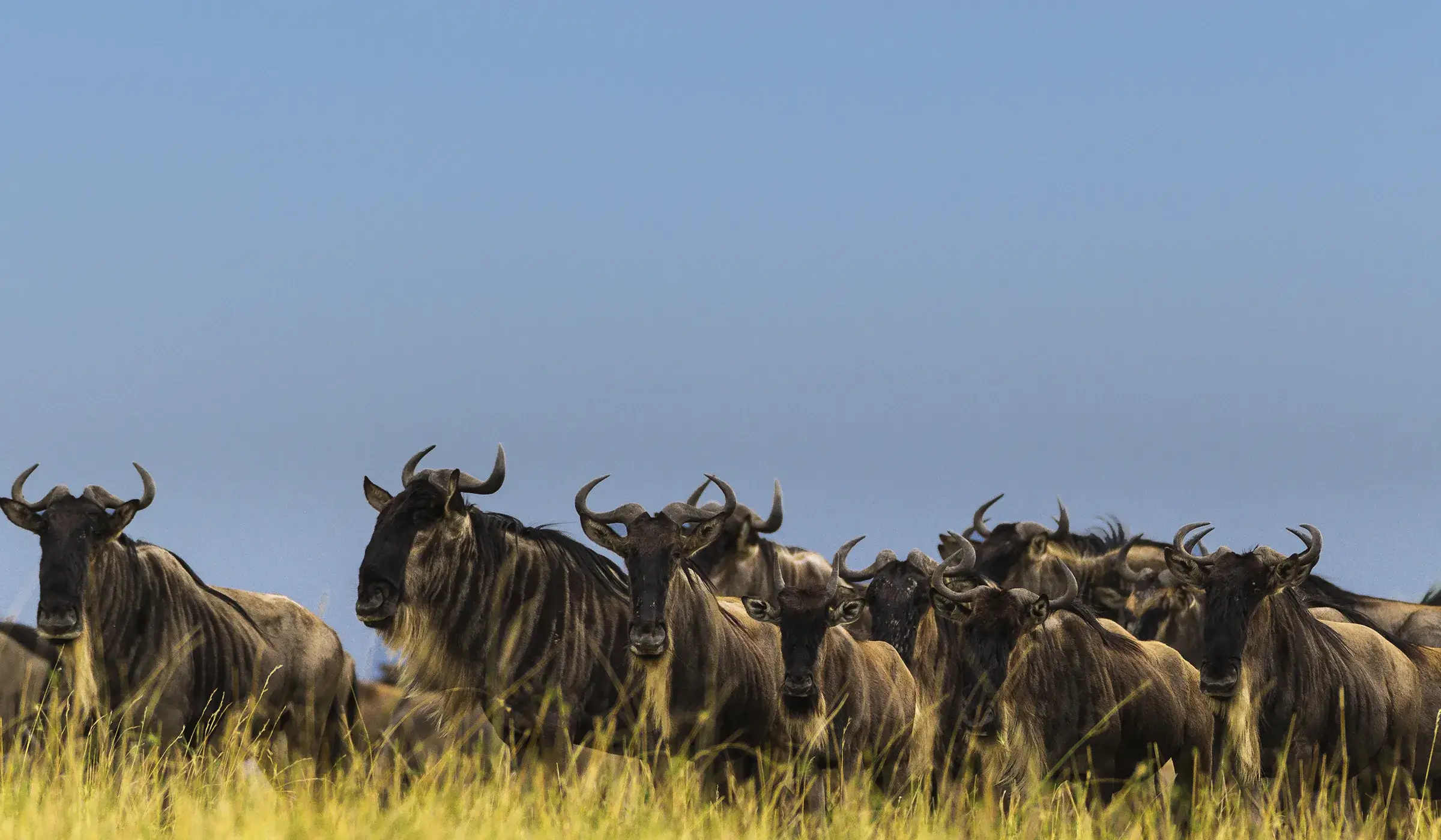 Best Time To Visit Tanzania