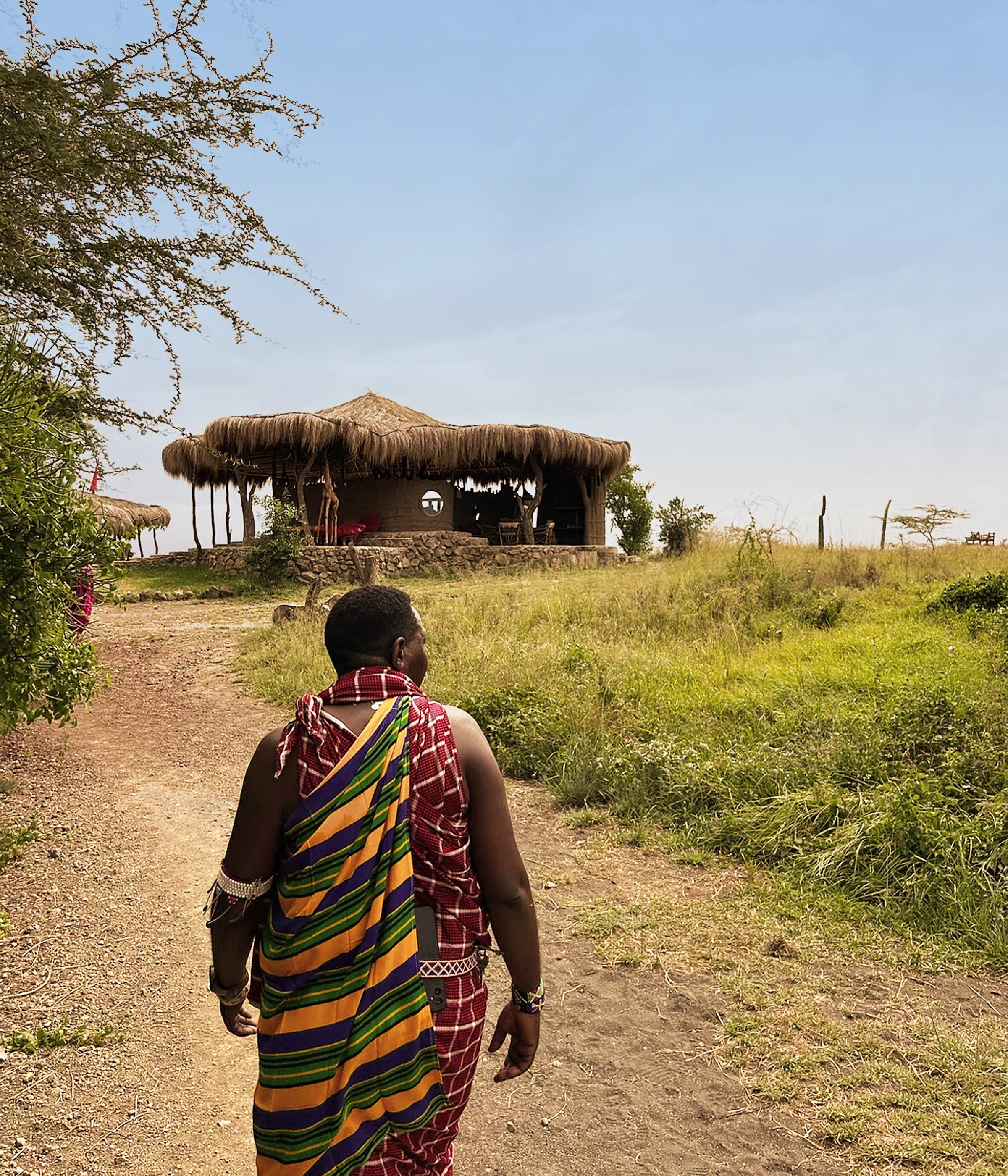 Tanzania Safari