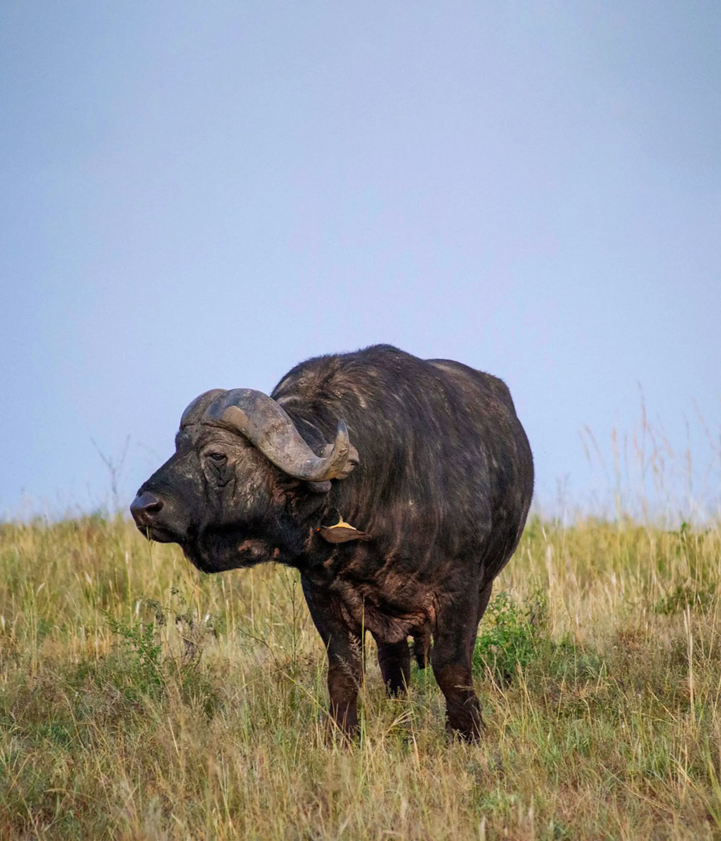 13 Days Cultural Wildlife Hiking