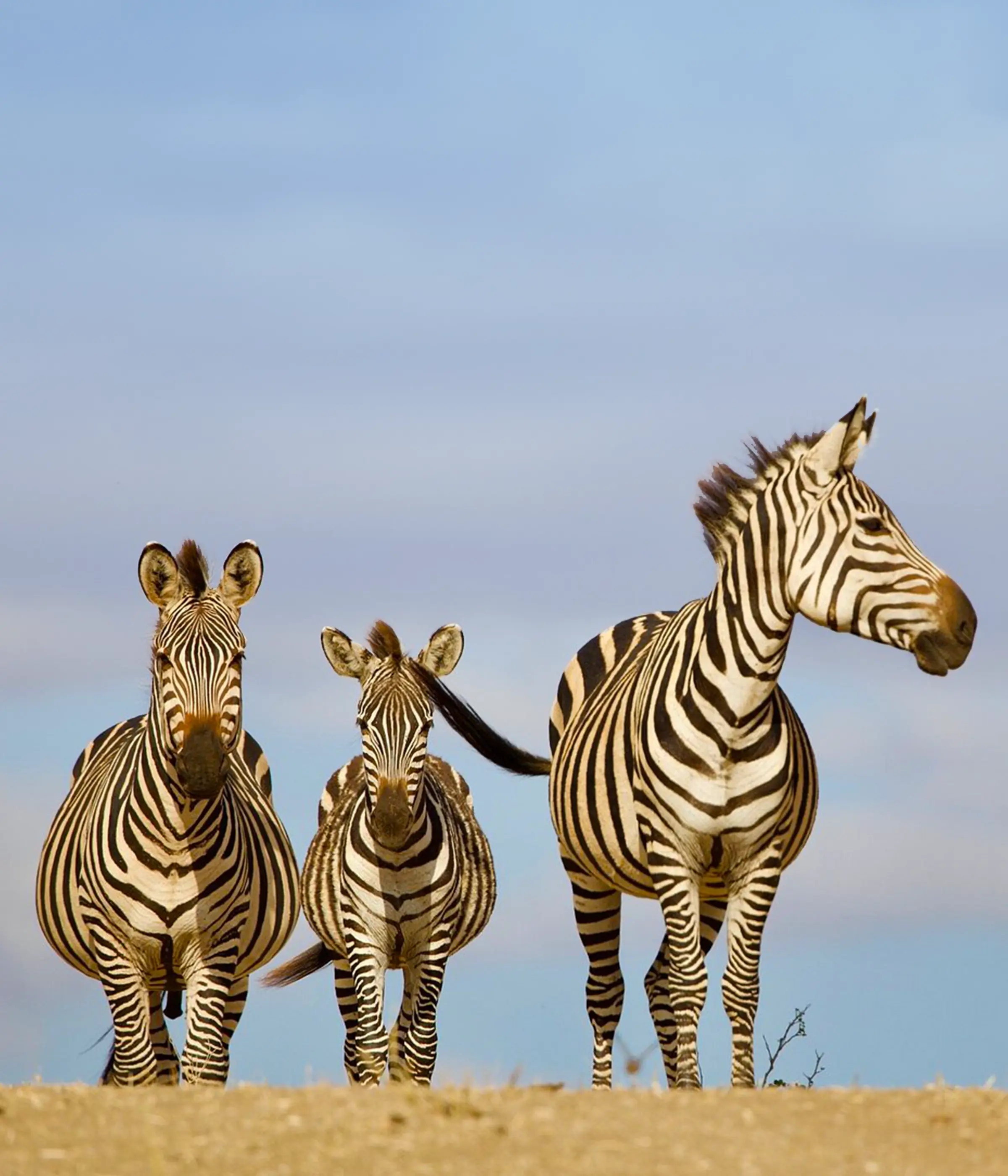 13 Days Cultural Wildlife Hiking