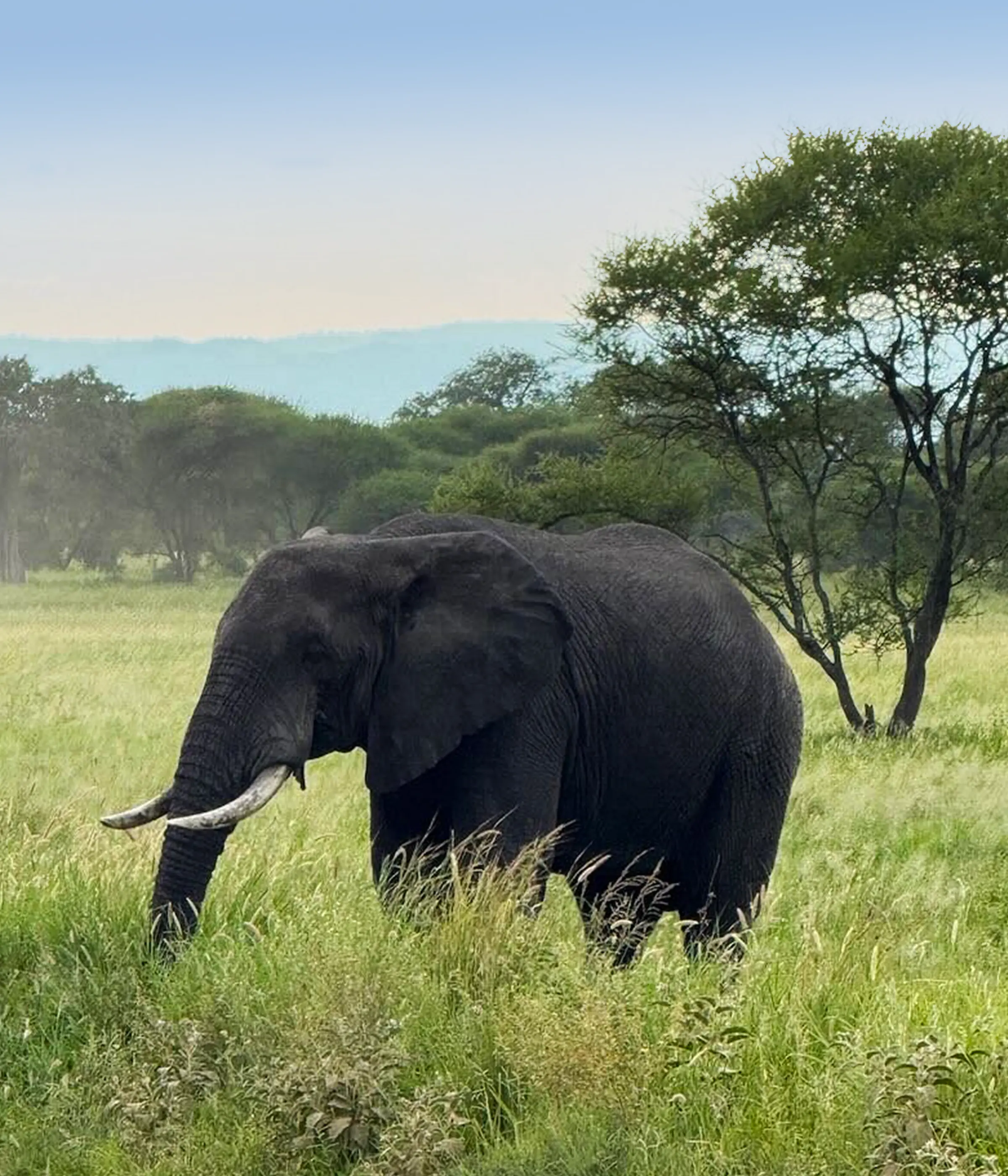 13 Days Cultural Wildlife Hiking