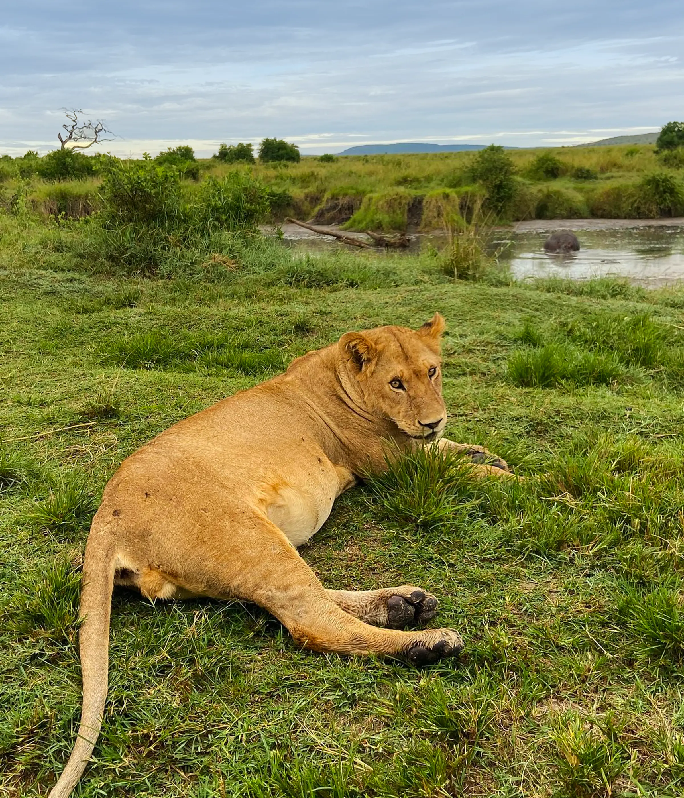 13 Days Cultural Wildlife Hiking