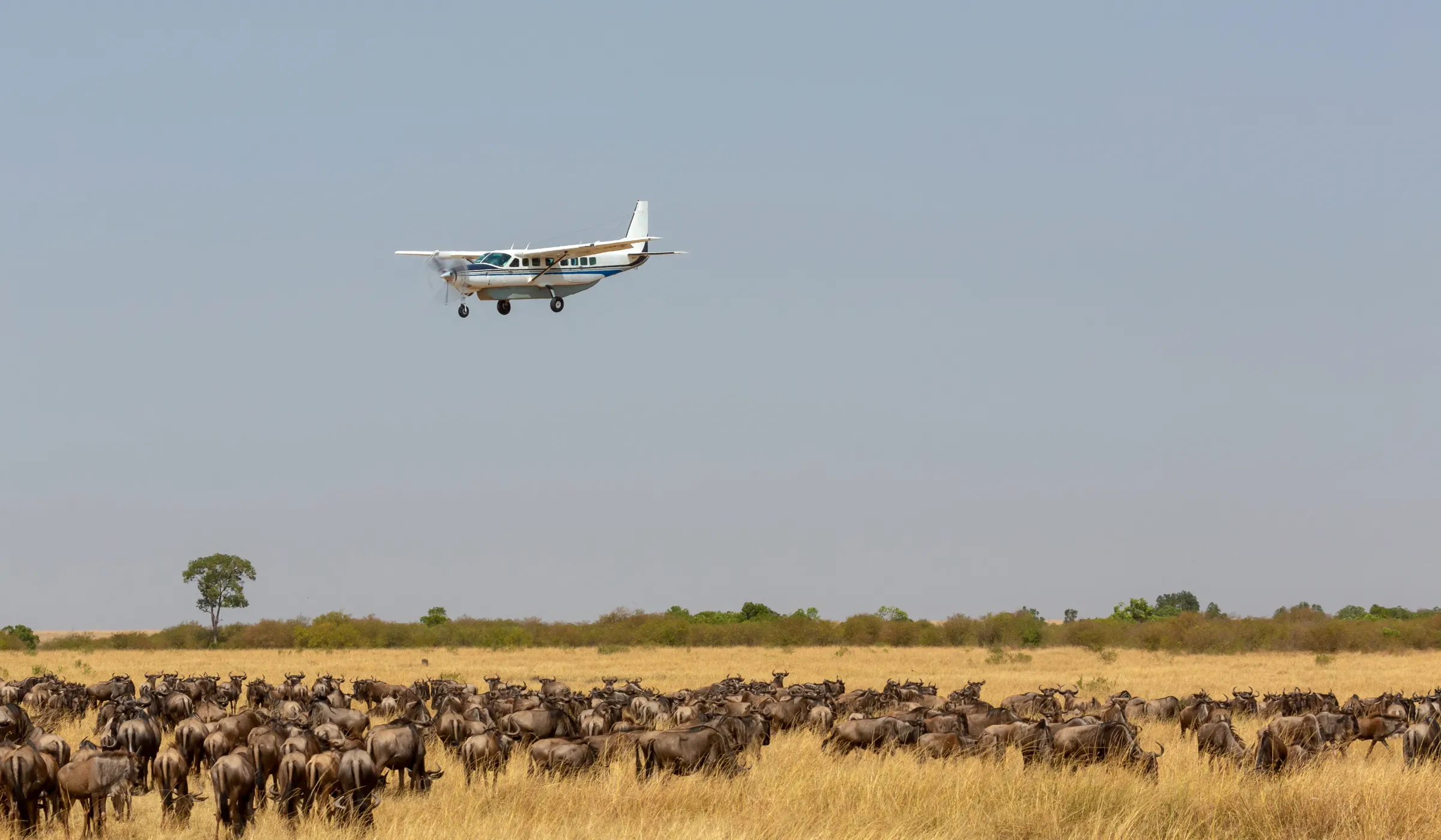 Getting To Serengeti