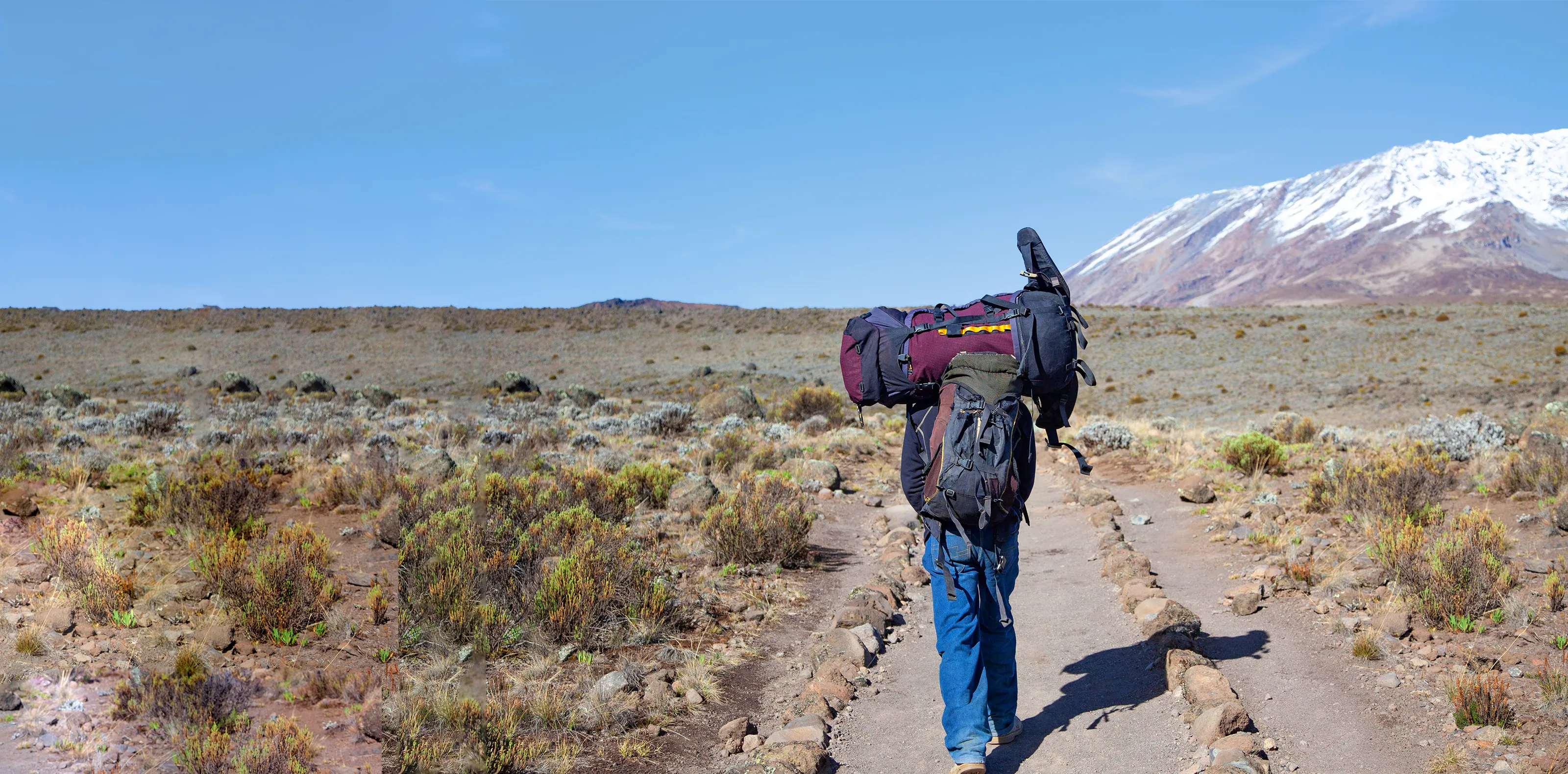 Kilimanjaro Porters