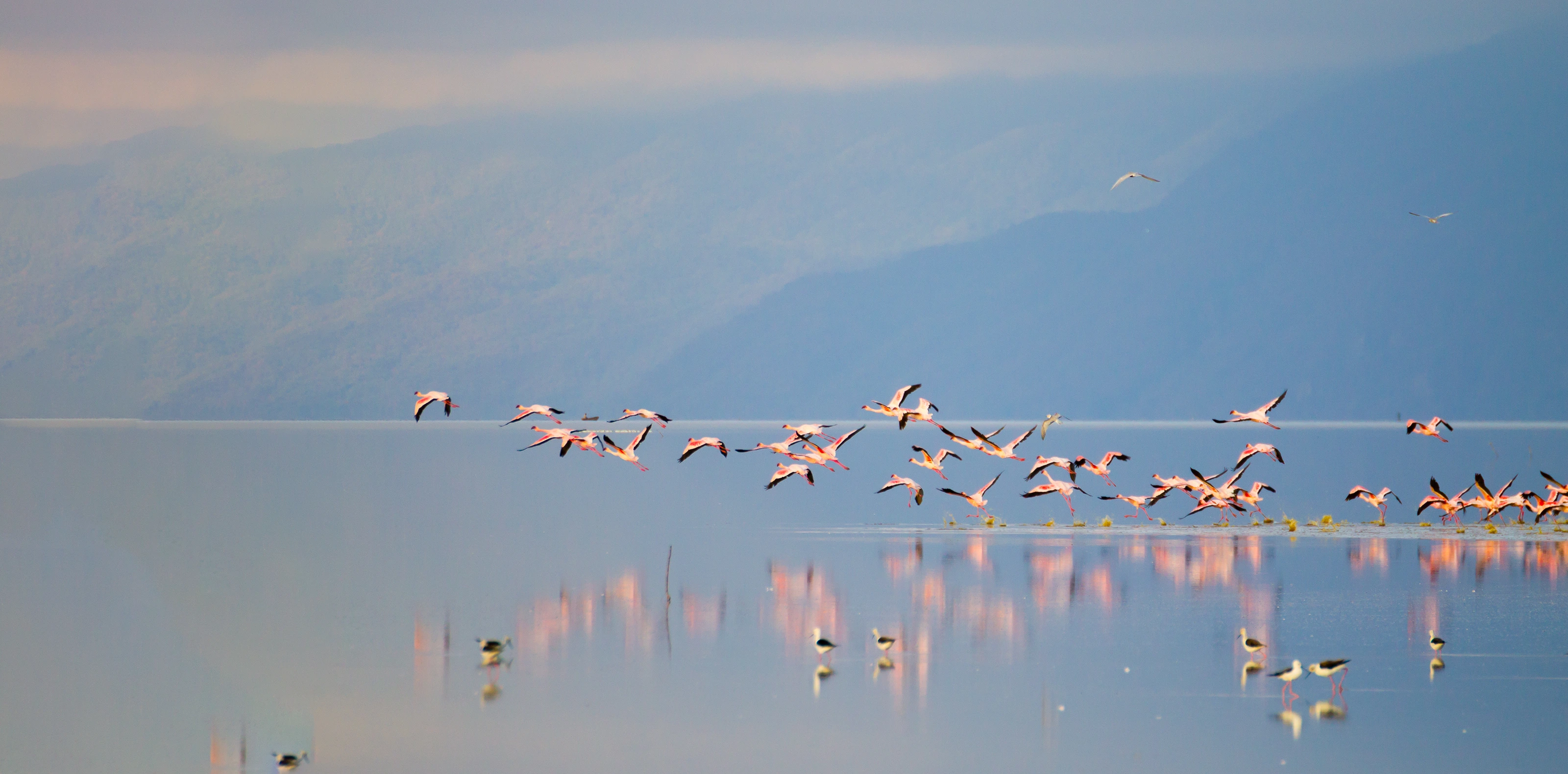 Lake Manyara National Park