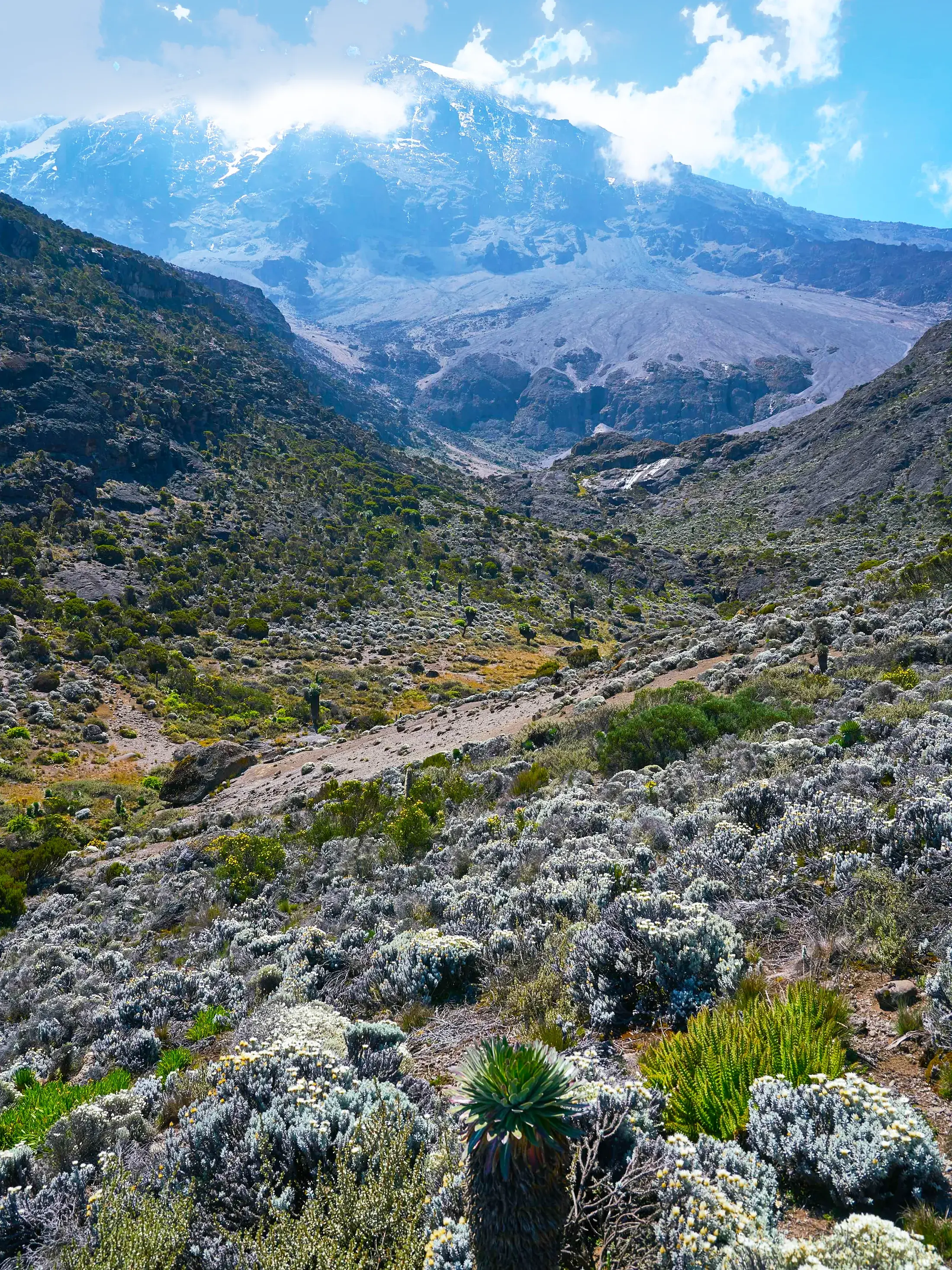 Machame Route