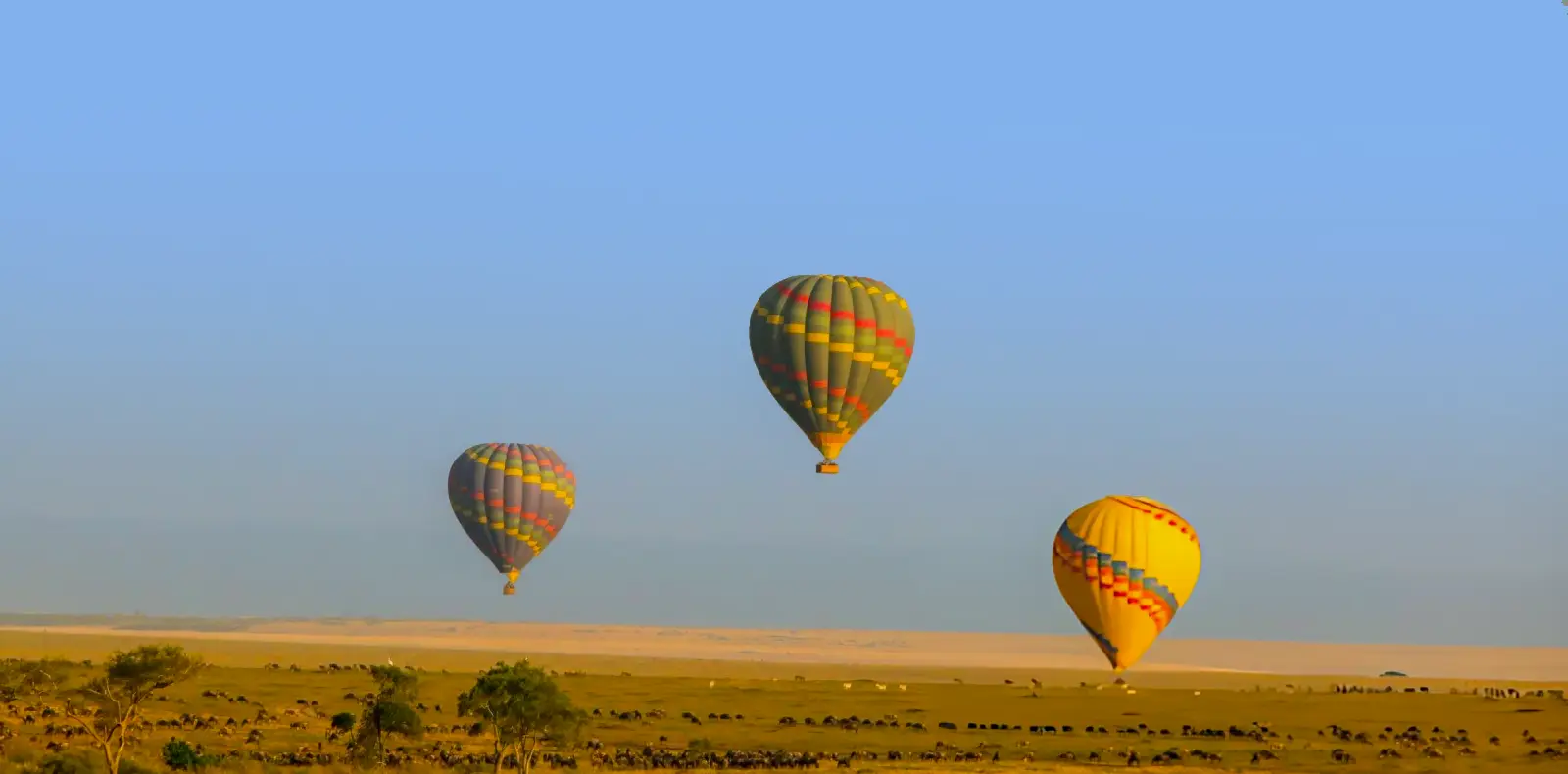 African Scenic Safaris