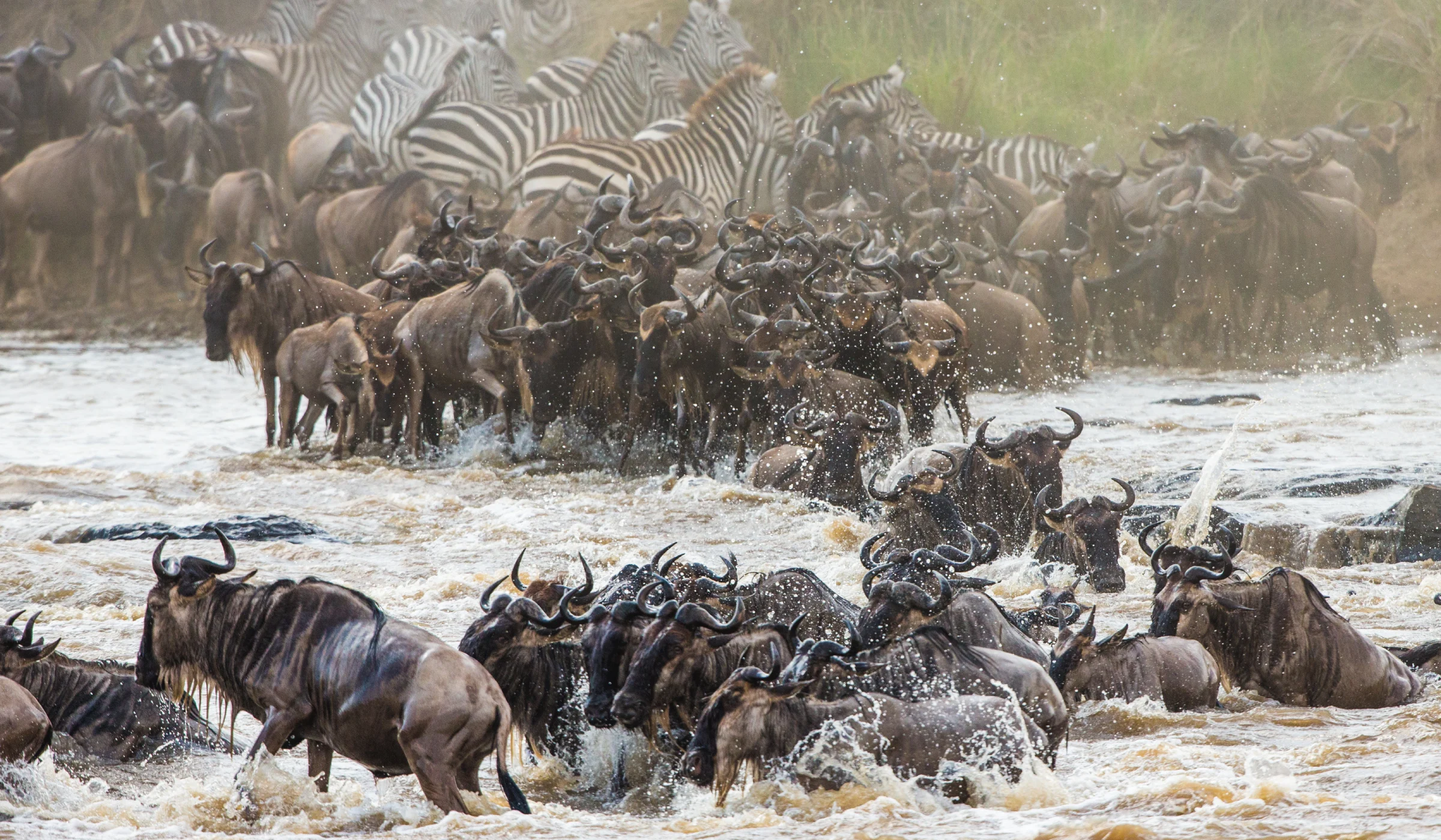 Best Time To See The Serengeti Migration